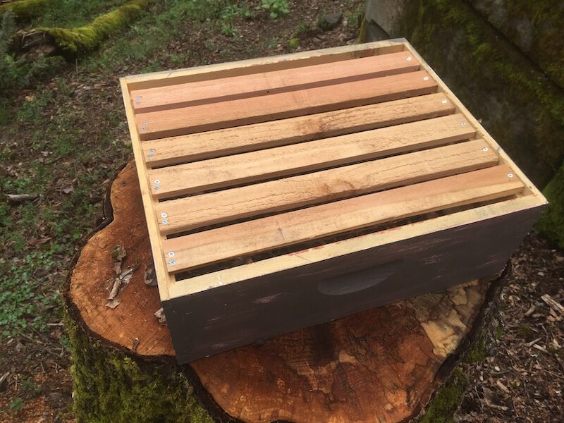 Langstroh box conversion to Eco box for bottom layer of hive