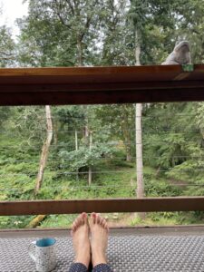 outdoors, coffee, forest, toes