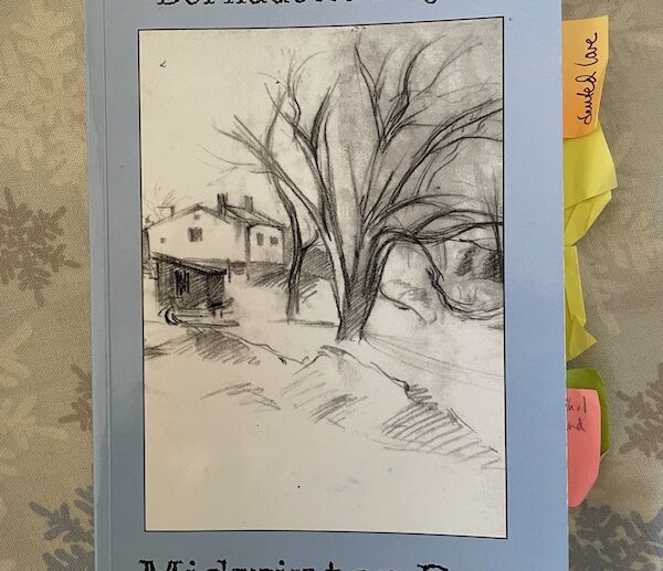 cover of book Midwinter Day by Bernadette Mayer; tree drawing.